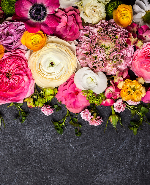 Jean's Flowers